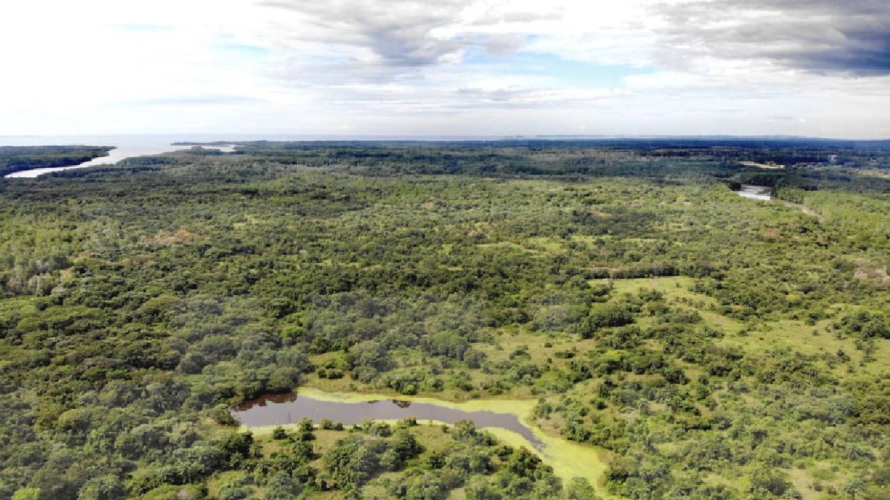 Finca con Potencial Ecológico