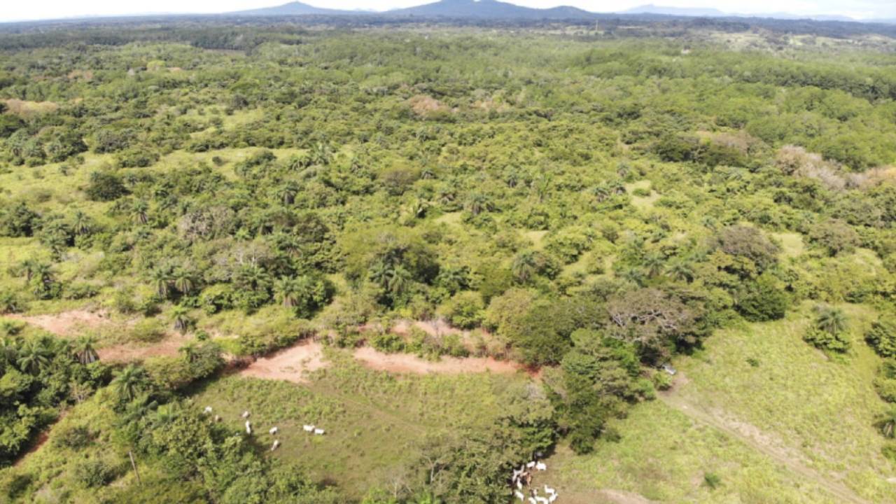 Finca con Potencial Ecológico