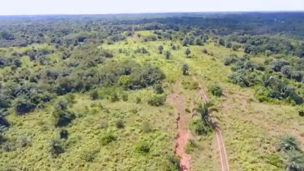 Finca Inversiones Luna