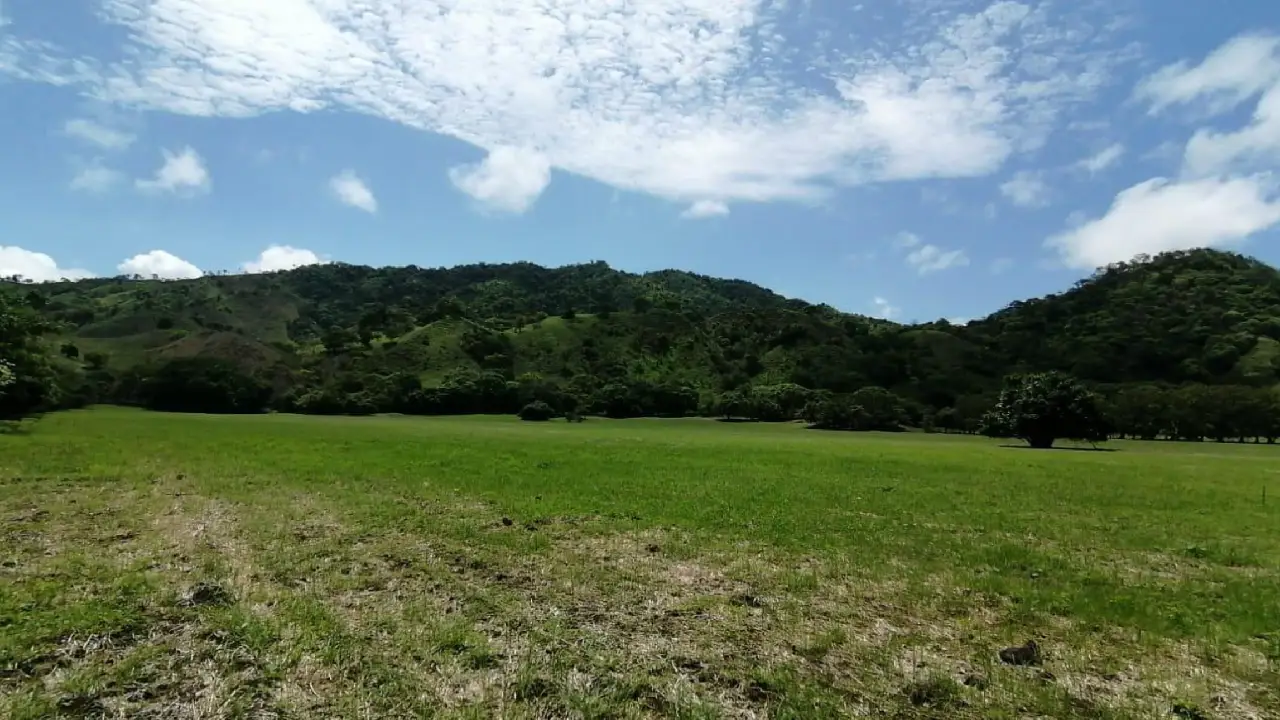 Lotes Playa Cambutal