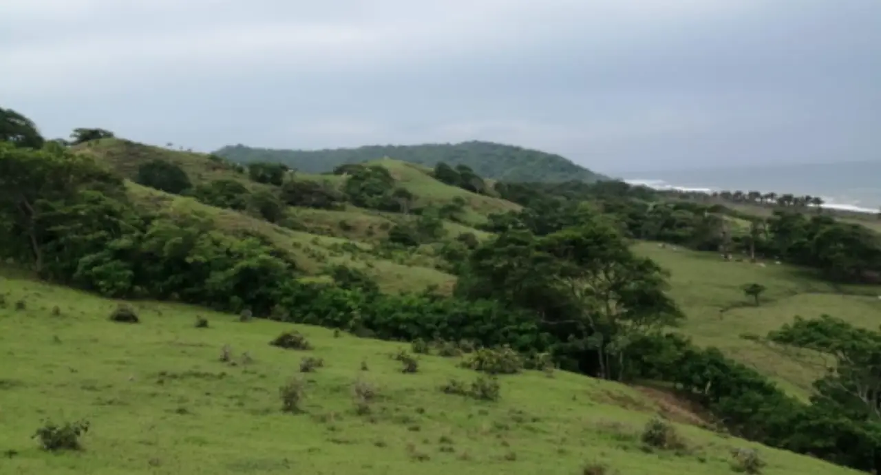 Playa Horcones 17 Ha.