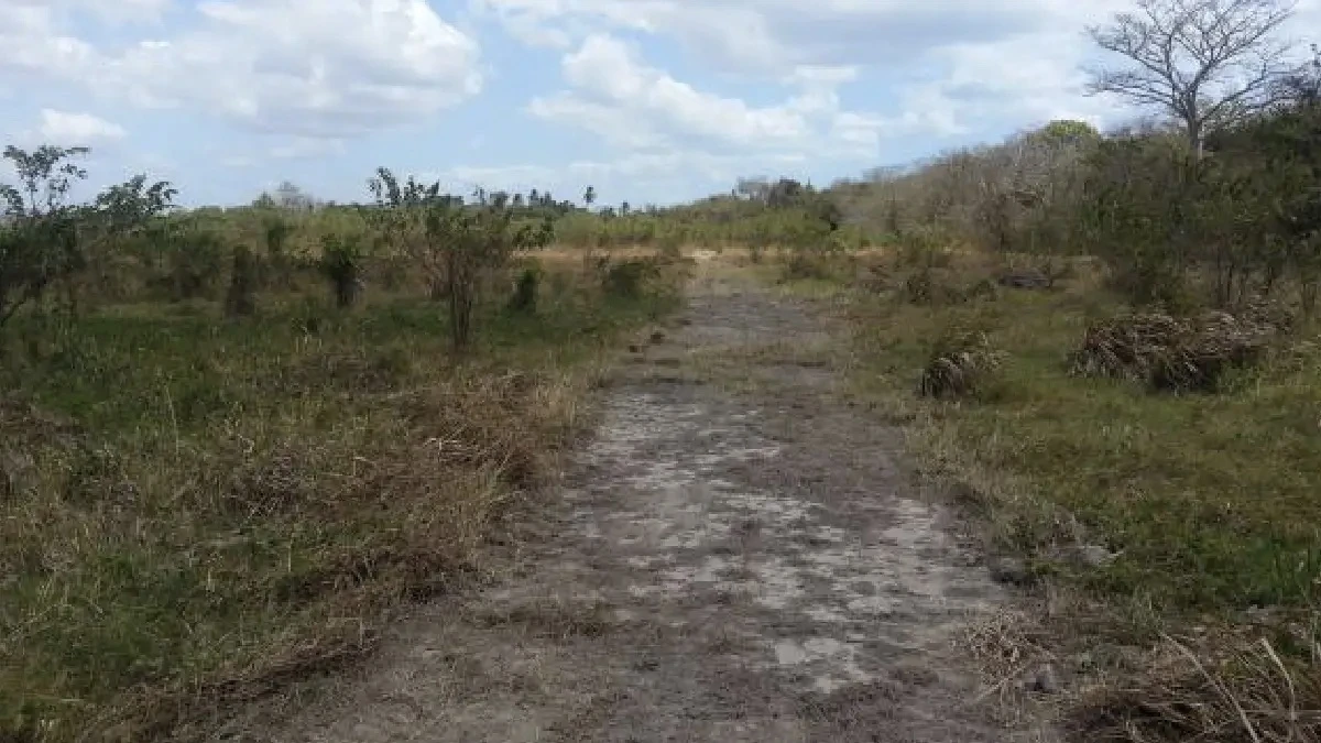 Terreno en Juan Hombrón